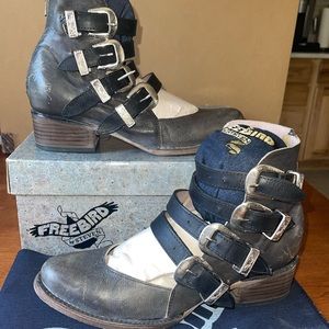 Freebird by Steven Scarlett